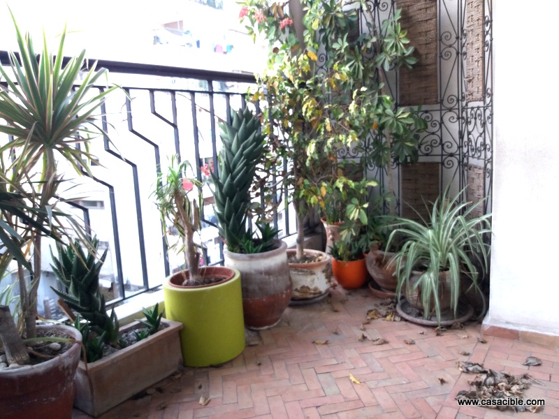 Agence de Location des Appartements à Casablanca Agence de Location des Appartements à Casablanca
