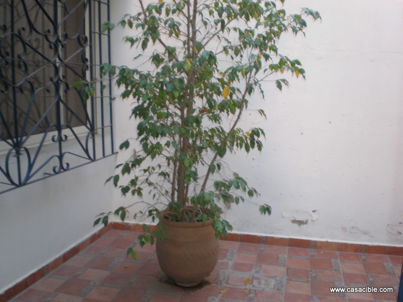 Location Appartement Casablanca Location Appartement Casablanca